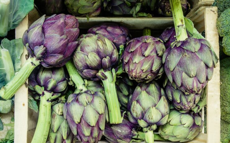 carciofi verdure orto benessere nutrizione alimenti benessere dieta salute