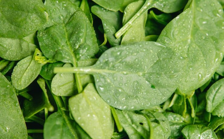 spinaci foglie verdure benessere nutrizione alimenti benessere dieta salute