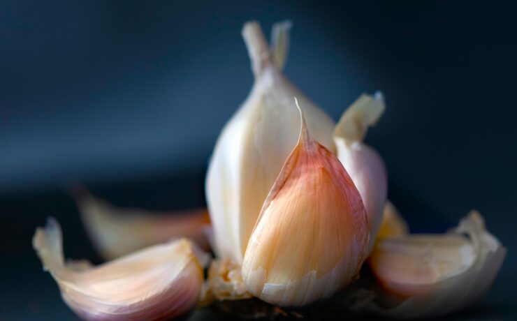 aglio verdura benessere nutrizione alimenti benessere dieta salute