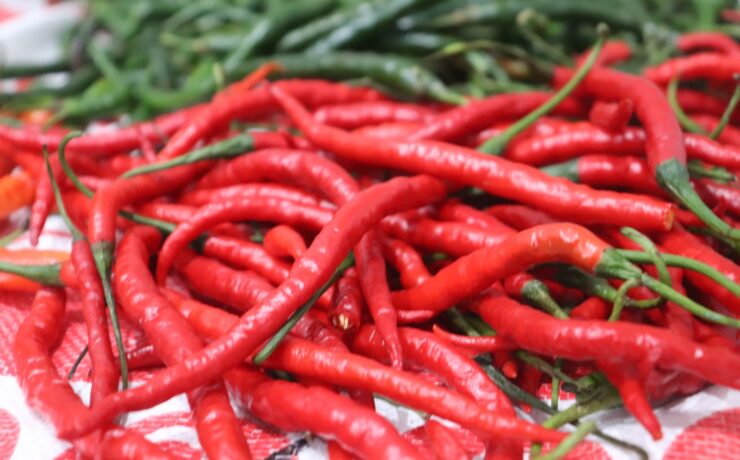 Peperoncino verdura benessere nutrizione alimenti benessere dieta salute