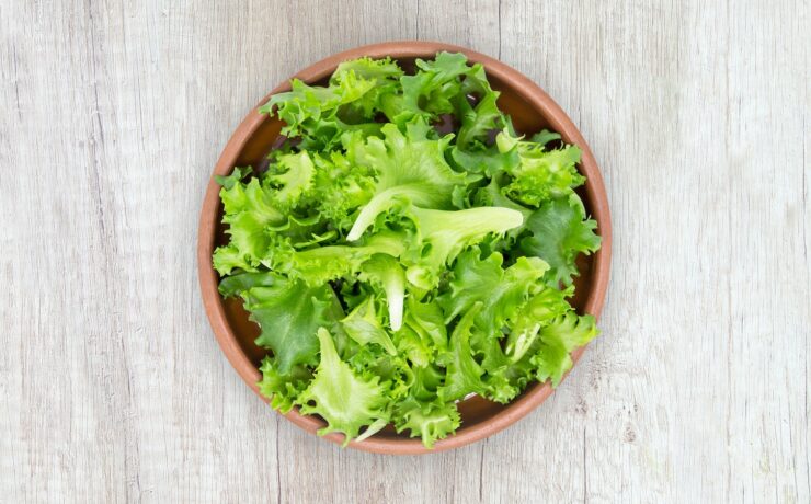 Lattuga insalata verdura benessere nutrizione alimenti benessere dieta salute