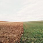campo di erba verde e ambiente marrone della terra del suolo