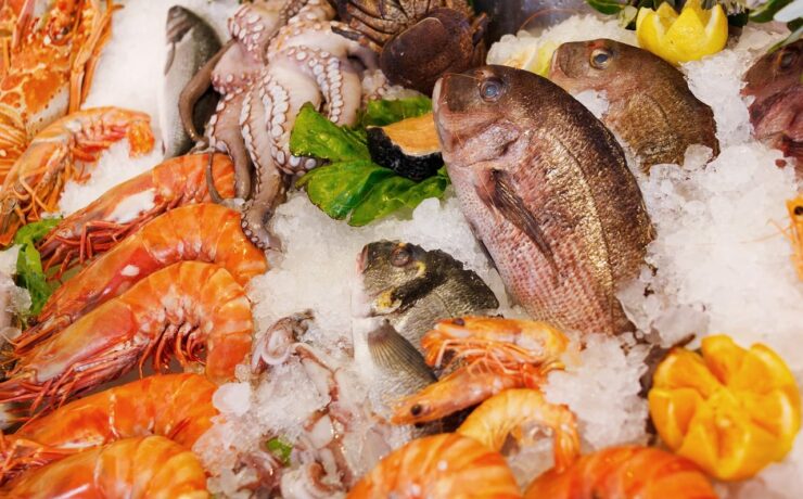 pesce alimenti ghiaccio mercato