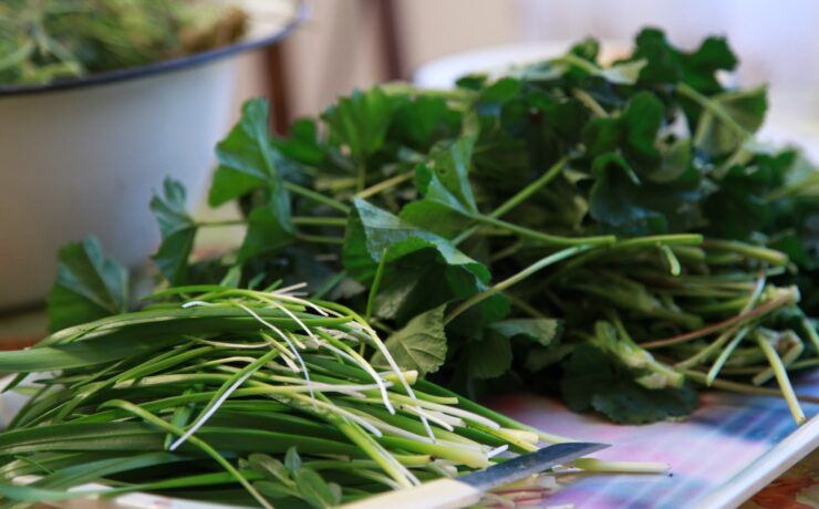 foglie verdi sul piatto bianco e viola verdure a foglia verde