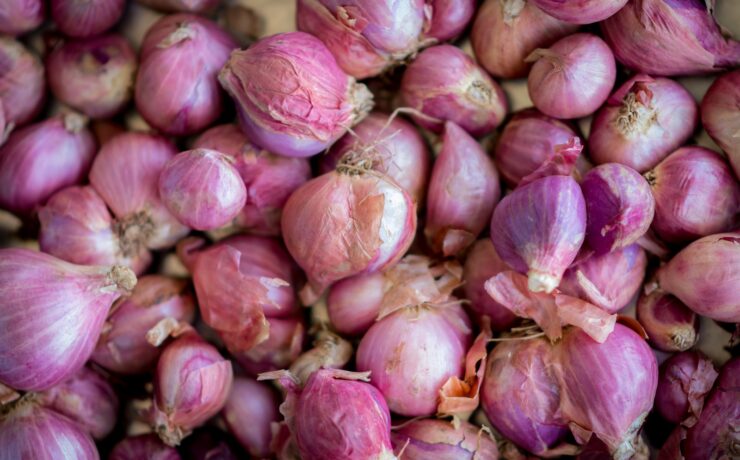 aglio rosa in fotografia ravvicinata cipolla