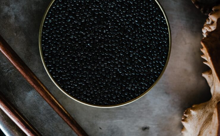 Close Up de um pote de caviar