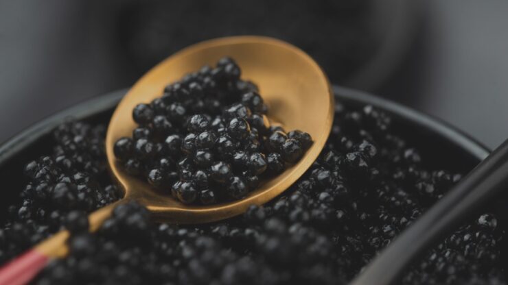 caviar