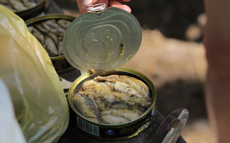 persona che apre lattina di pesce in scatola