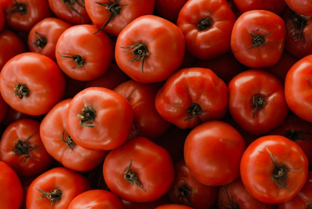 Red Tomatoes Fruits in Close Up Photography