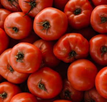 Red Tomatoes Fruits in Close Up Photography