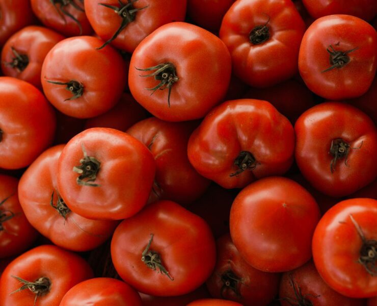 Red Tomatoes Fruits in Close Up Photography