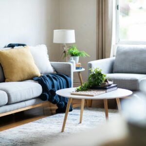 decor style living room